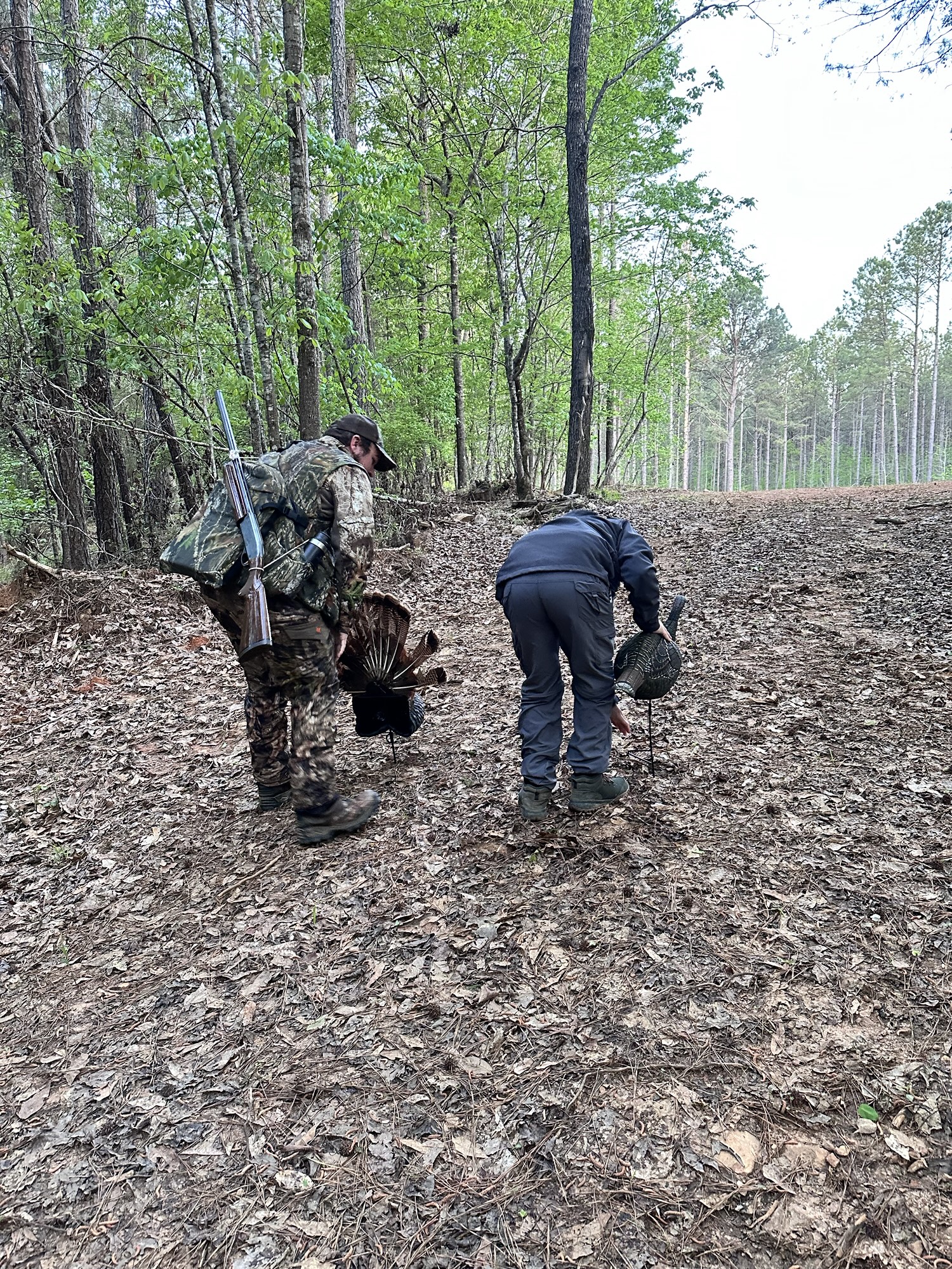 A First Turkey Hunt to Remember: Lessons from the Woods