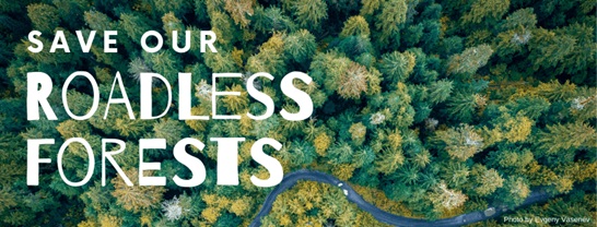 Protecting the Wild: Understanding the Roadless Rule (And What You Can Do Now)
