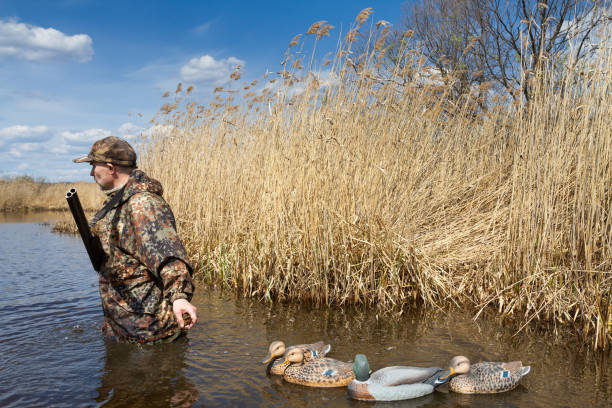 Beginner’s Guide to Coastal Wetlands and Waterfowl Hunting